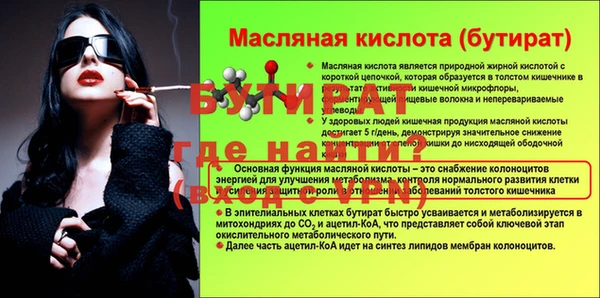 шишки Надым