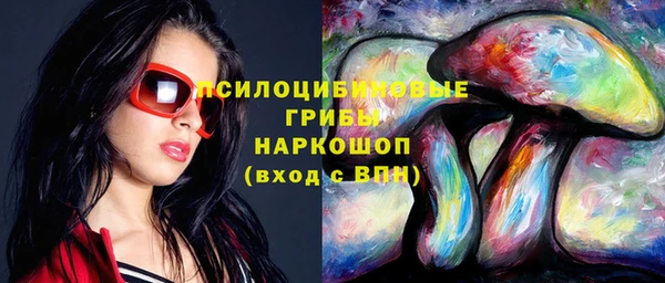 стафф Нефтекумск