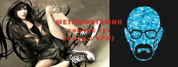 шишки Надым