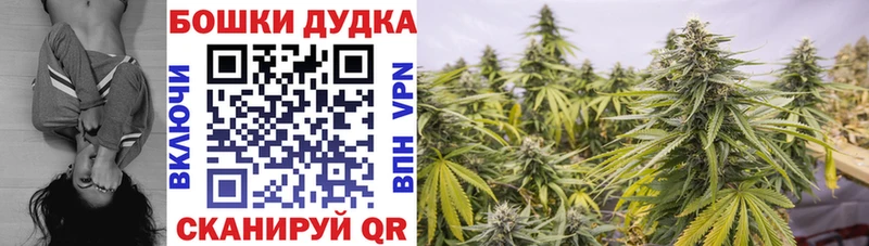 Шишки марихуана семена Нижняя Тура
